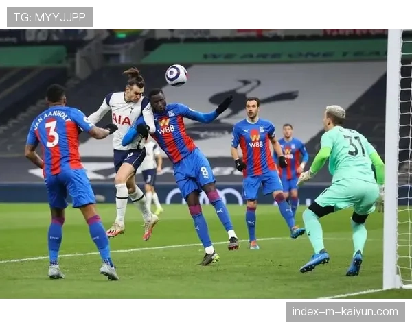 水晶宫主场逆转纽卡斯尔 塞赫斯特公园球场再现防守韧性